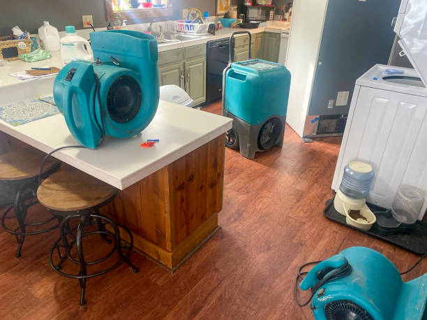 Best 24-hour water damage restoration  in Urbana, IL