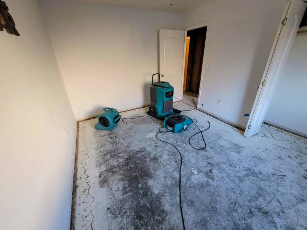 Best Commercial water damage restoration  in Urbana, IL