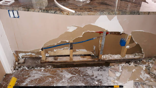 Best Mold removal after water damage  in Urbana, IL