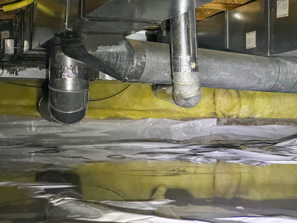 Best Flood damage cleanup  in Urbana, IL