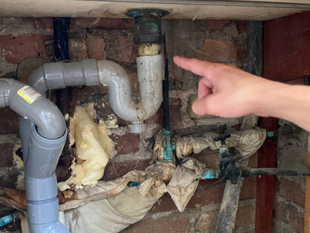 Best Professional water damage repair  in Urbana, IL