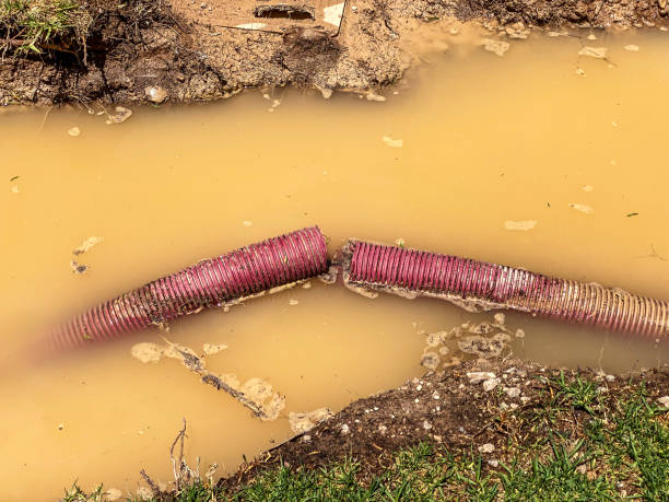  Urbana, IL Water damage restoration Pros